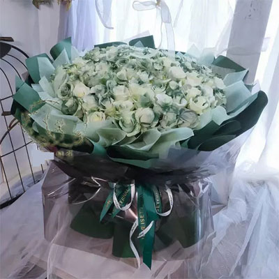 99 Scotland green roses